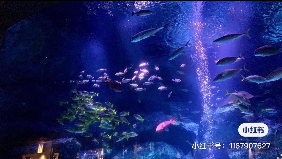 Sky House晴空塔 双人间1 带独立厕所 共用浴室 Apartamento